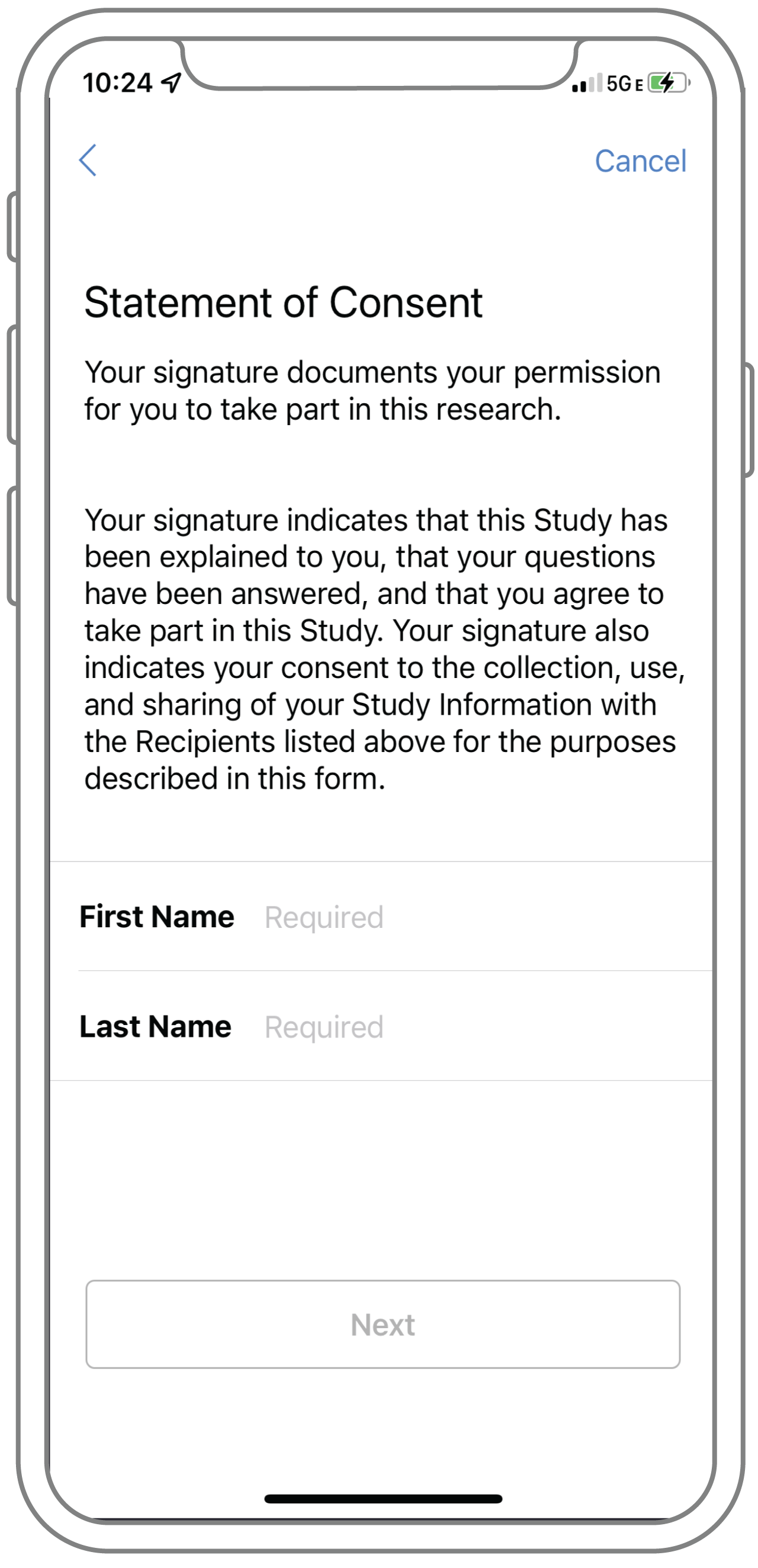ITAP consent screen